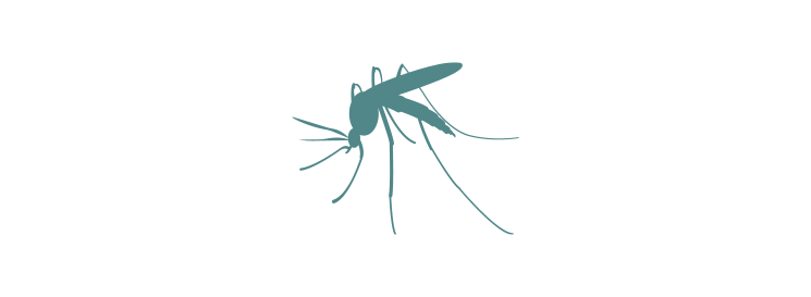 Proyecto Dengue